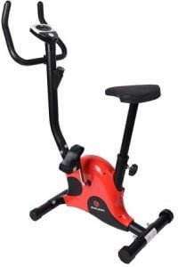 Endless Imported Exercise Bike for Fitness (1)